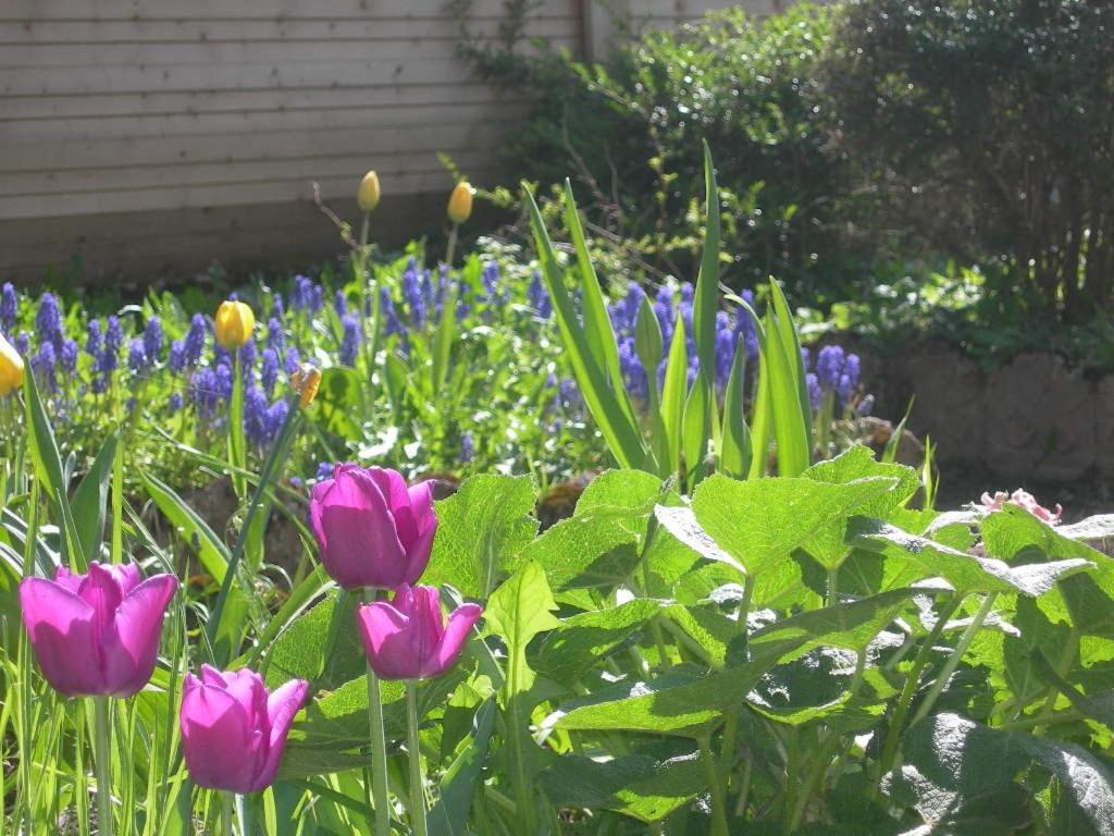 D'hotes Les Charmettes Bed & Breakfast *